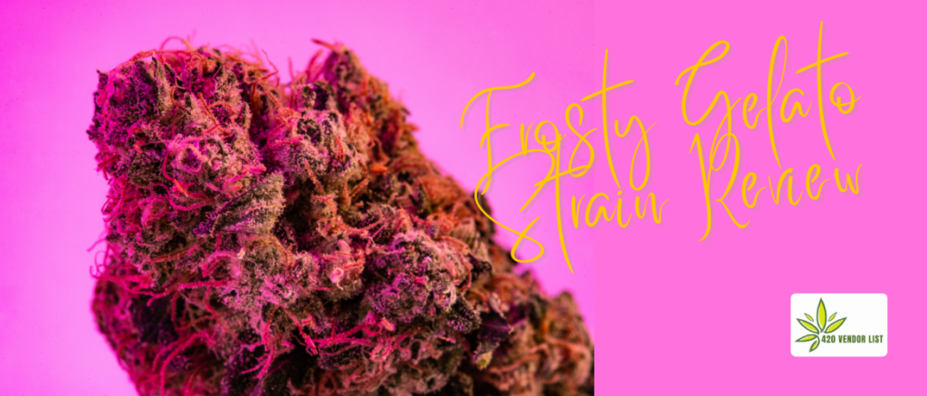 Frosty Gelato Strain Review