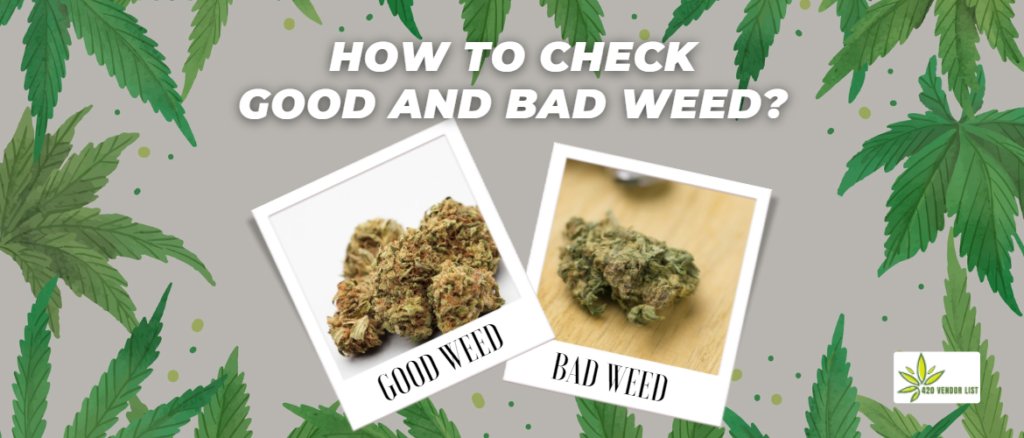 How To Check Good And Bad Weed?