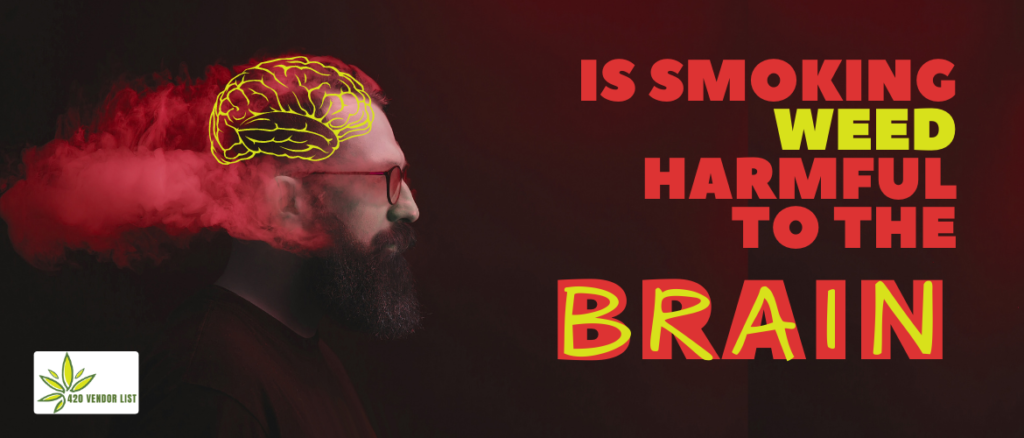 Is-smoking-weed-harmful-to-the-brain-1024x438
