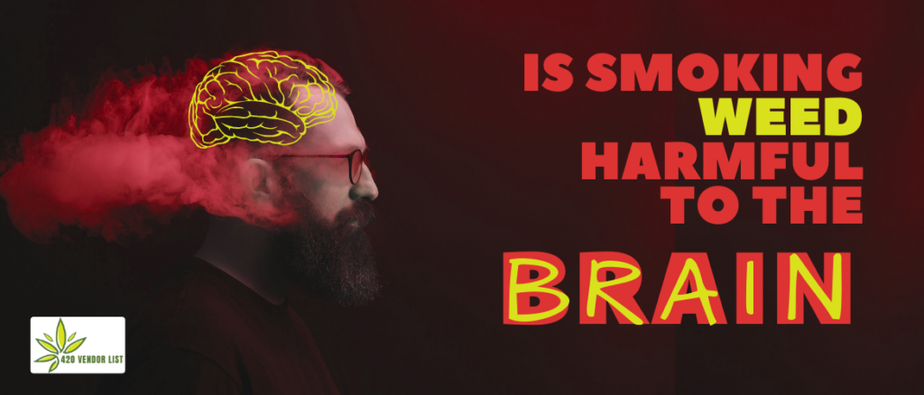 Is Smoking Weed Harmful To The Brain?