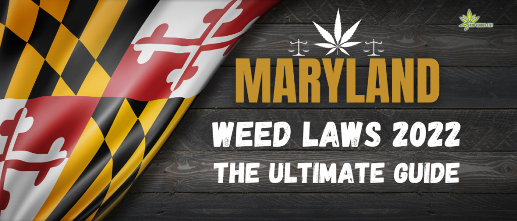 Maryland Weed Laws 2023: The Ultimate Guide