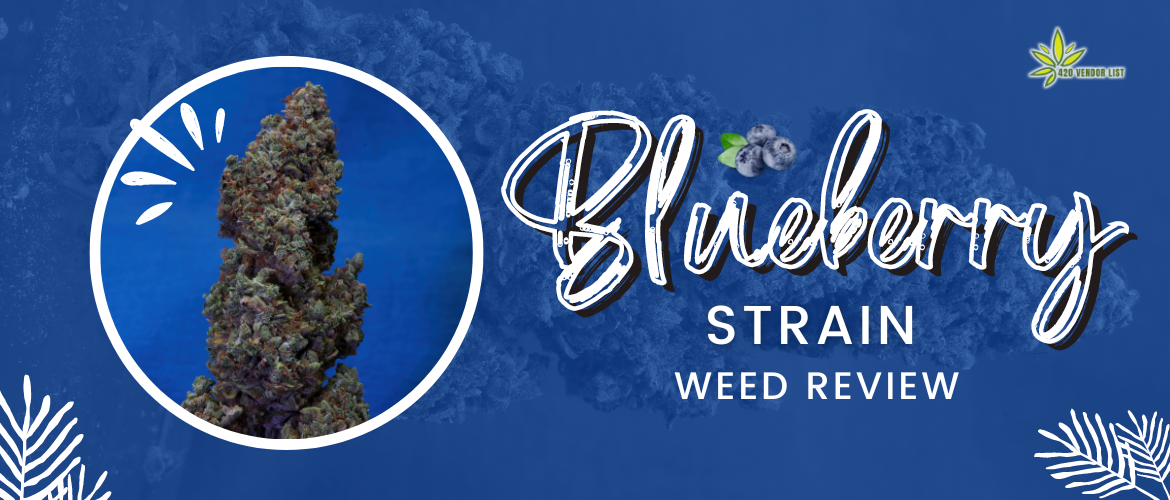 Blueberry Weed Strain Review