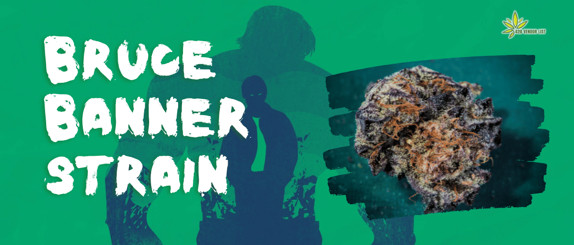 Bruce Banner Strain Review