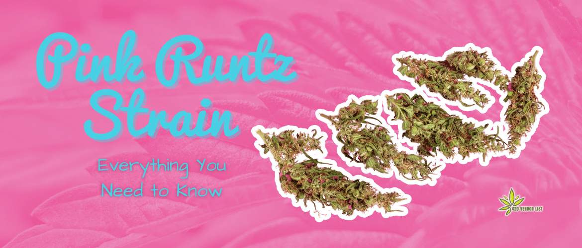 The Best Pink Runtz Strain Review: Everything You Need to Know