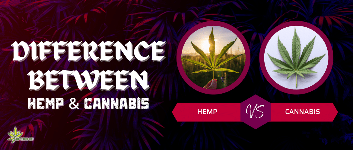 Hemp vs. Cannabis: What’s the difference?