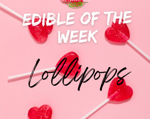 EDIBLE OF THE WEEK – Lollipops