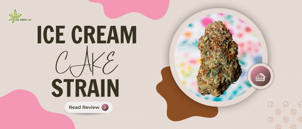 Is Ice Cream Cake Strain Worth Trying