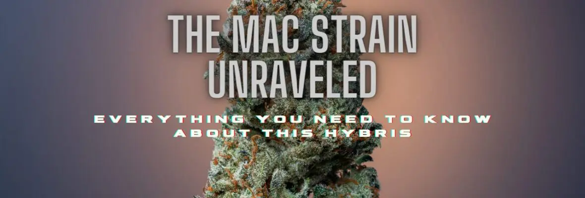 The Mac Strain