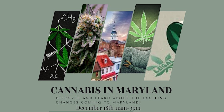 Cannabis Changes coming to Maryland