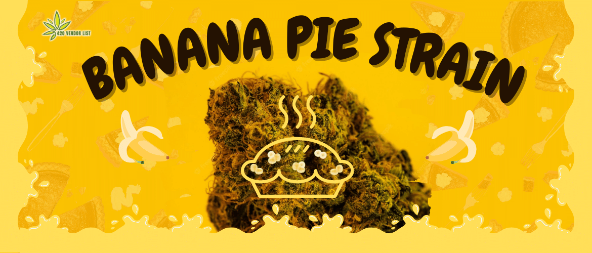 Should You Give the Banana Pie Strain a Shot? Detailed Review