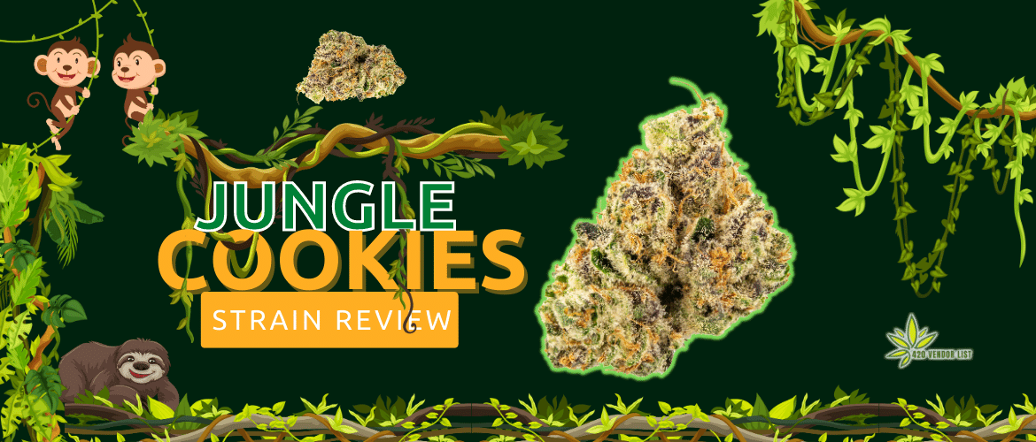 Jungle Cookies Strain