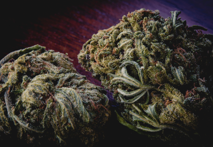 Do-Si-Dos Strain Review By 420 Vendor List