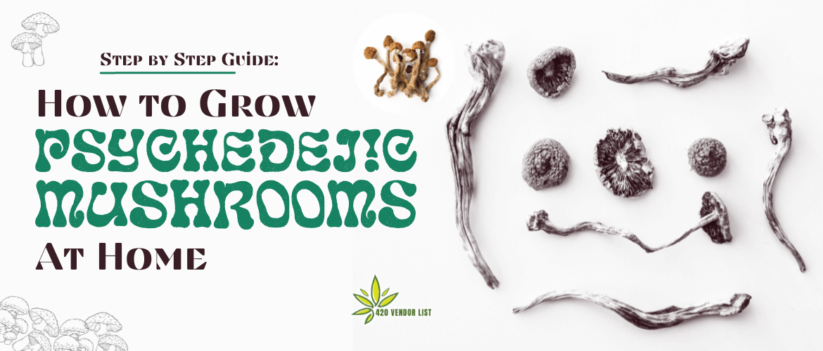 Step by Step Guide: How to Grow Psychedelic Mushrooms at Home