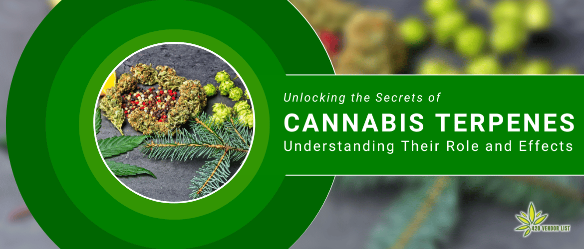 Unlocking the Secrets of Cannabis Terpenes: Understanding Their Role and Effects