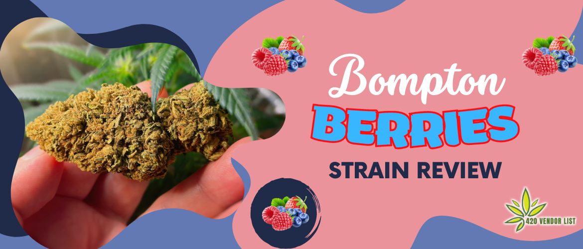 Get Lifted with Bompton Berries Strain: Review