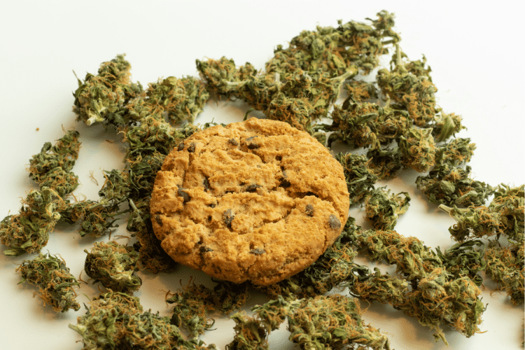 Animal Cookies Strain