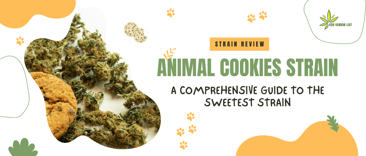 Animal Cookies Strain Review: A Comprehensive Guide to the Sweetest Strain