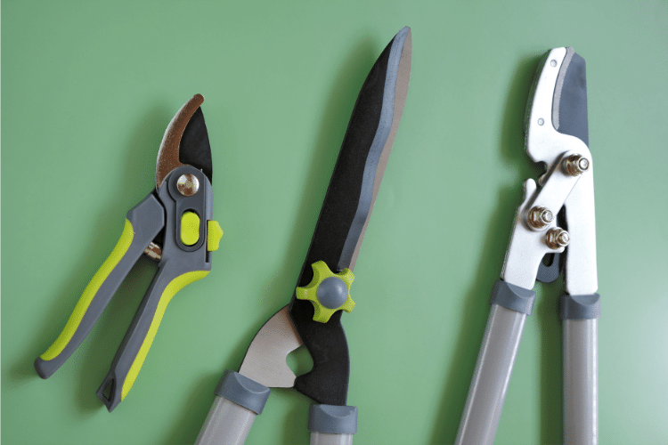 Tools for Pruning