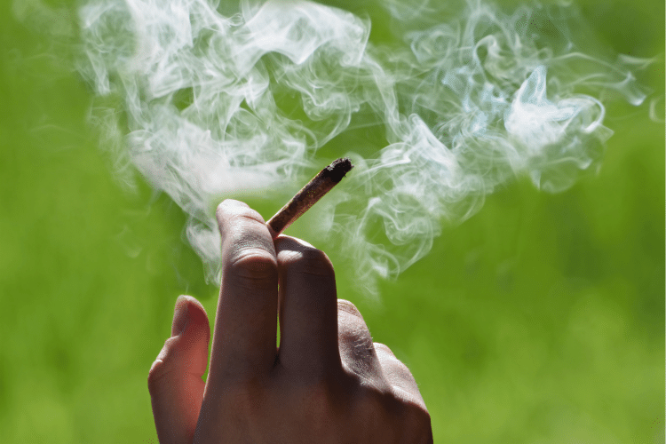 Things Every Cannabis Enthusiast Should Try