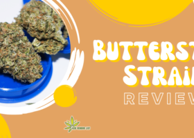 Butterstuff Strain