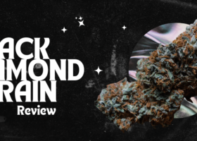 Black Diamond strain