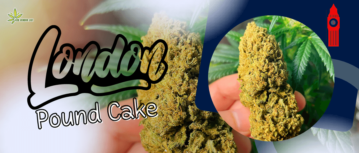 London Pound Cake Strain Review: A Sweet Indica-Dominant Hybrid