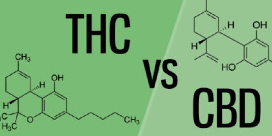 Stonerz Station Presents CBD vs THC