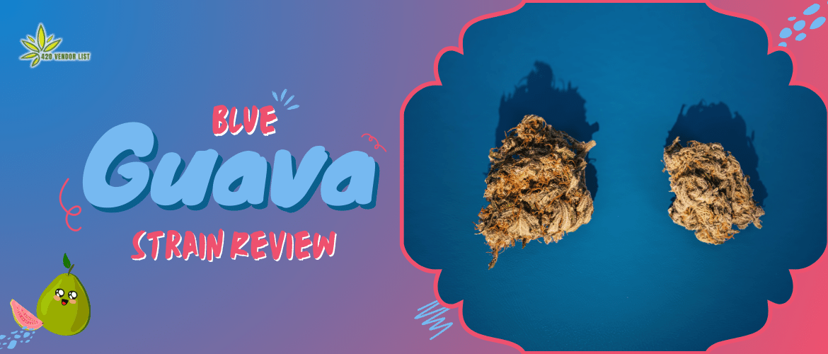 A Tropical Delight Unveiling The Unique Blue Guava Strain 420 Vendor