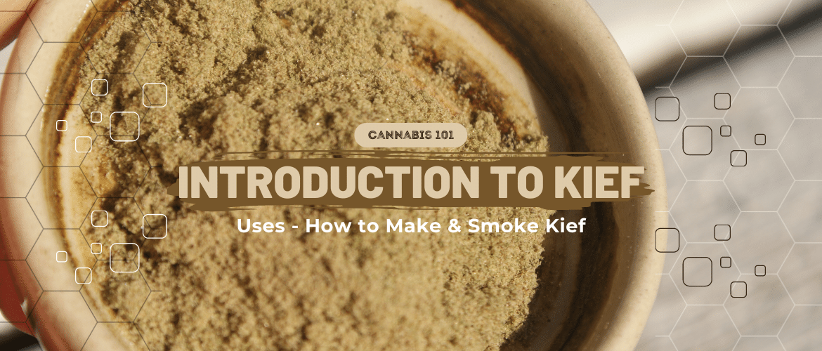 Introduction to Kief: Everything You Need to Know About Uses, How to Make and Smoke Kief