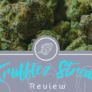 unleashing-the-magic-a-comprehensive-review-of-trufflez-strain
