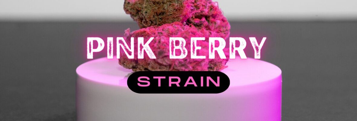 Pink Berry Strain