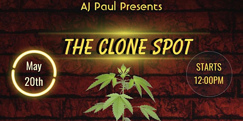 The Clone Spot By A.J. Paul