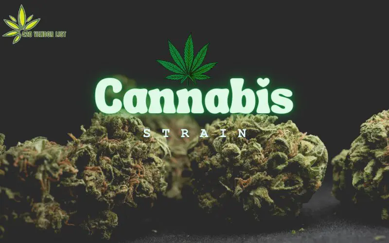 Cannabis Strains