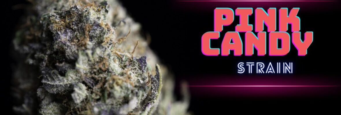 Pink Candy Strain