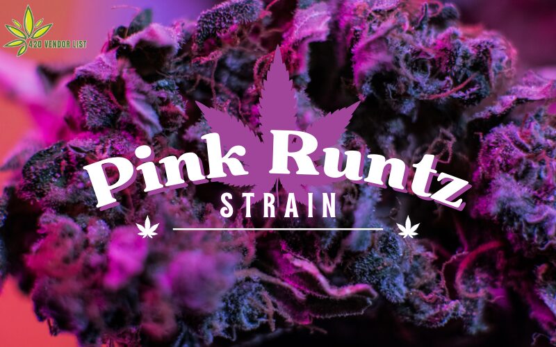 Pink Runtz Strain