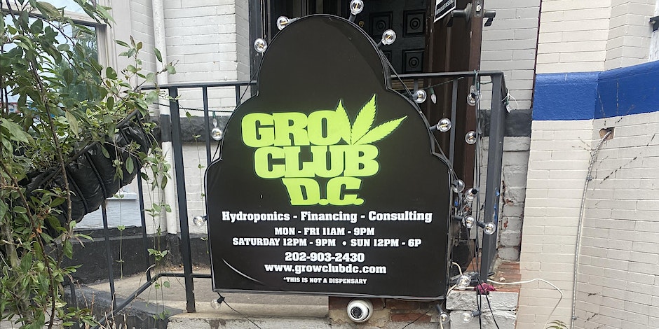 Adams Morgan Cannabis community