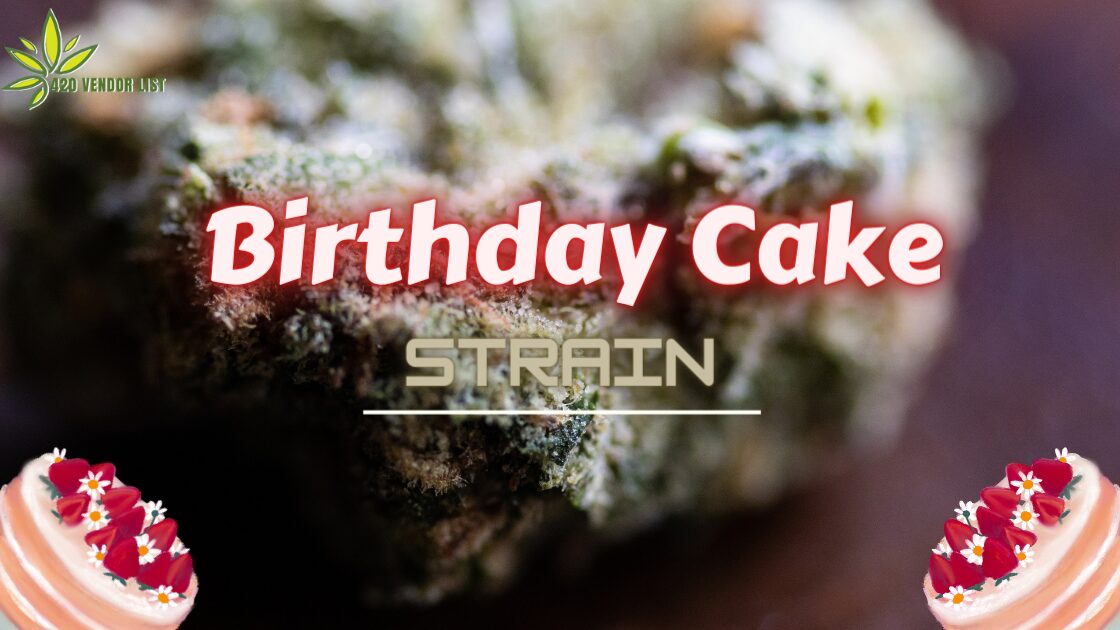 An In Depth Review Of The Birthday Cake Strain