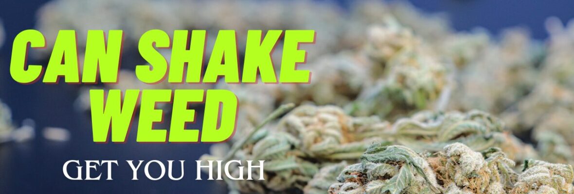 Can Shake Weed Get You High?