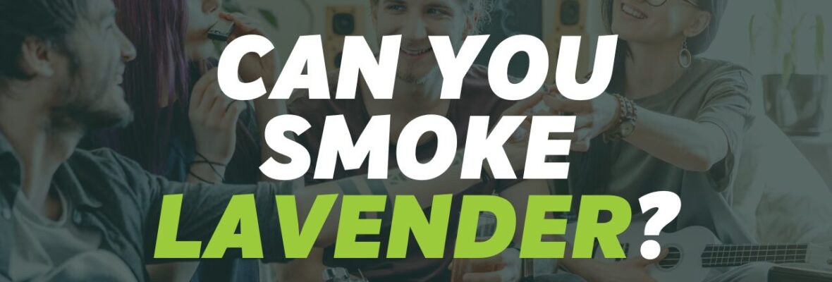 Can You Smoke Lavender?