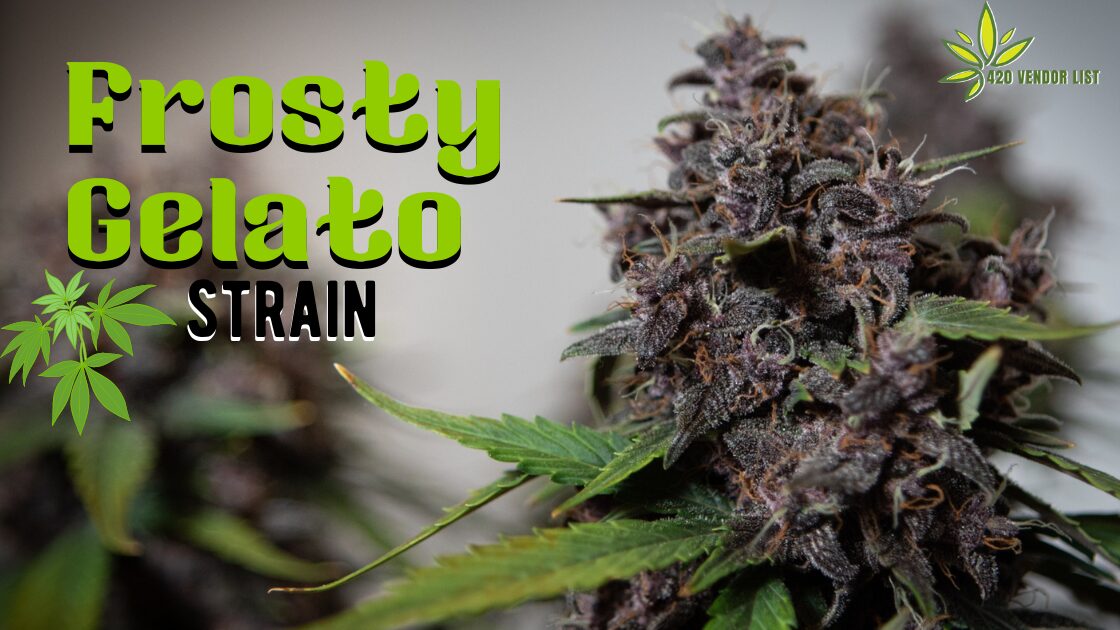 Frosty Gelato Strain Is One You Must Try
