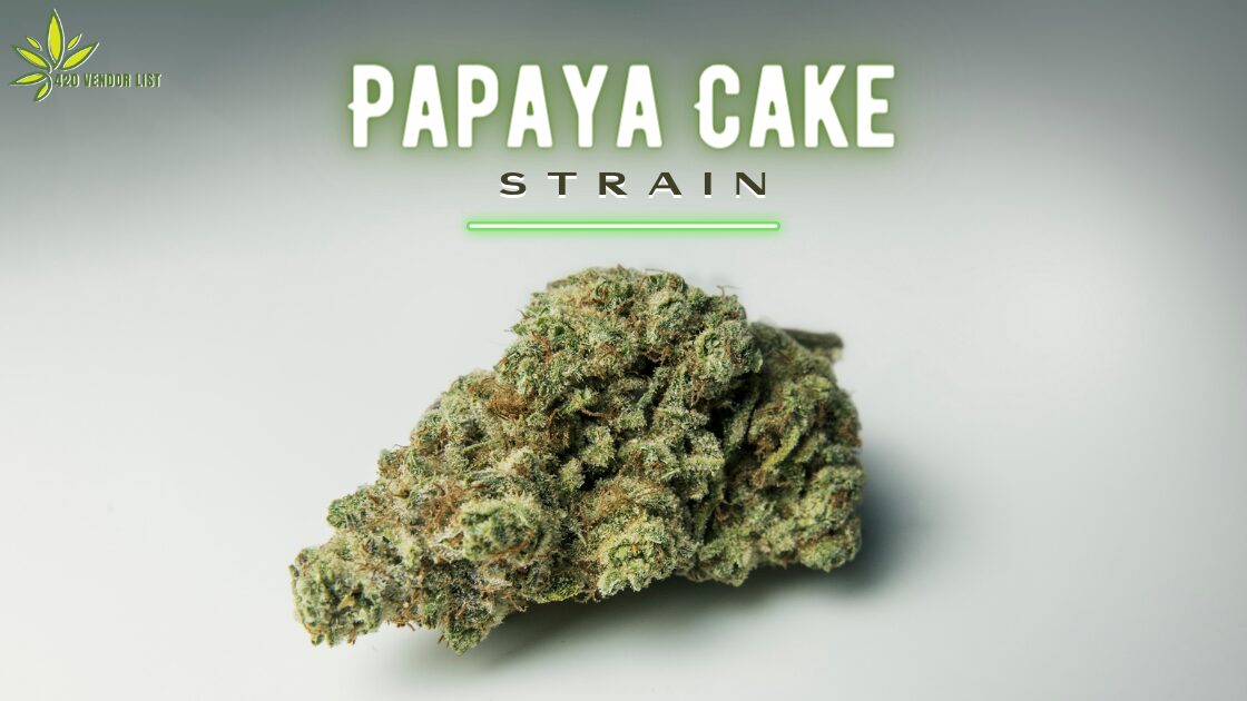 Papaya Cake Strain: A Tropical Treat