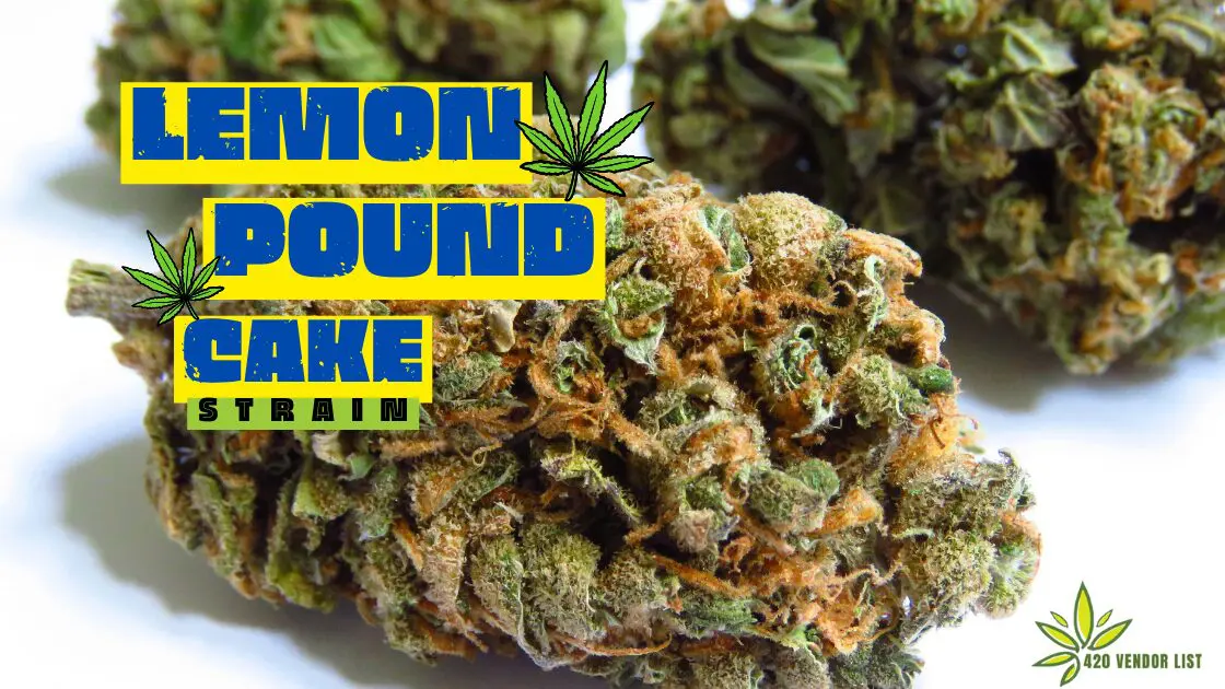 Lemon Pound Cake Strain