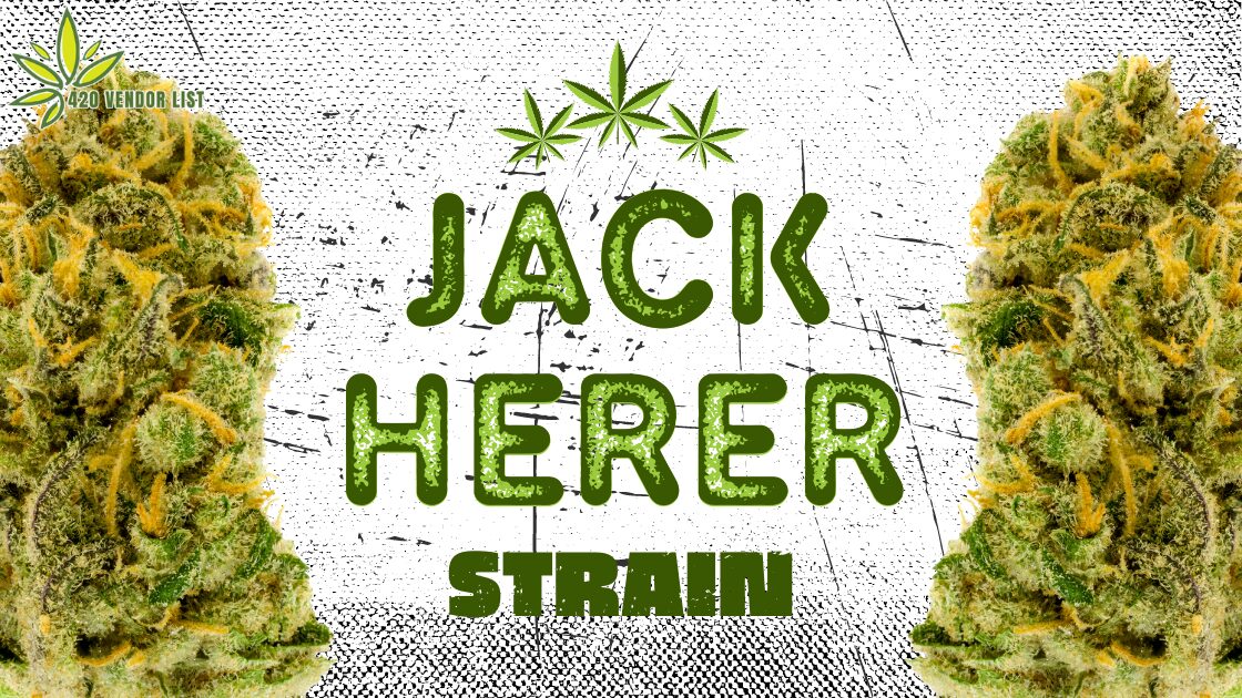 Jack Herer Strain Chr