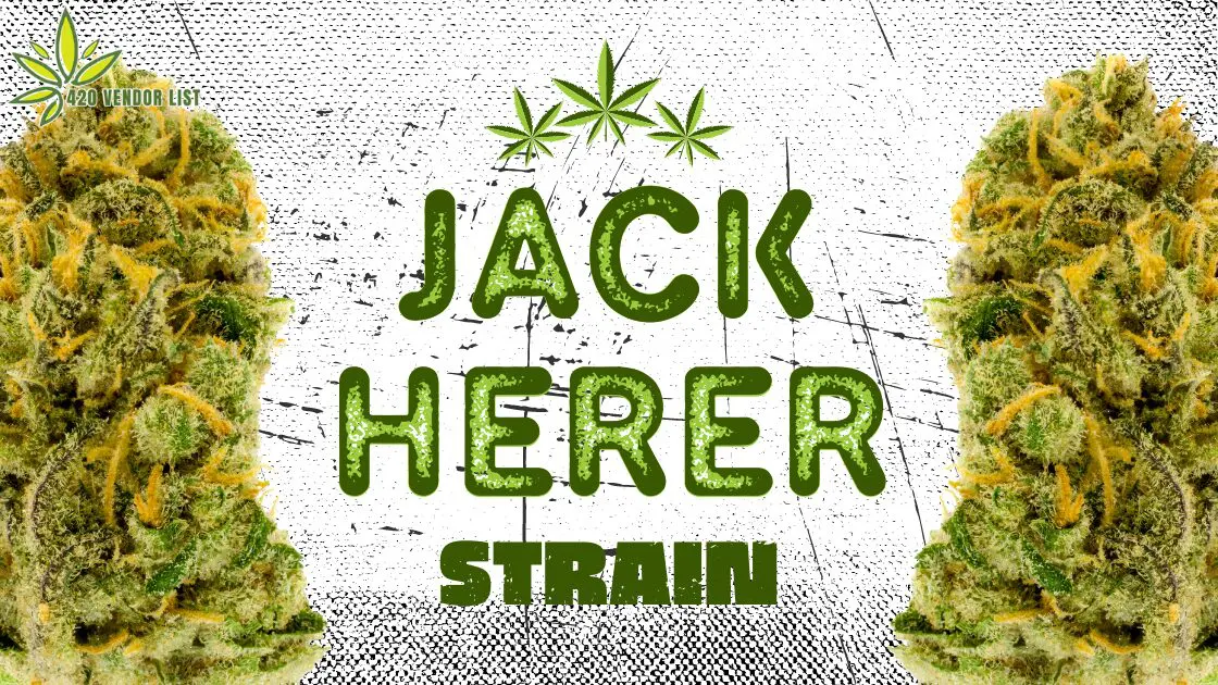 Jack Herer Strain Chr