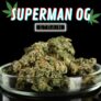 superman-og-everything-you-need-to-know
