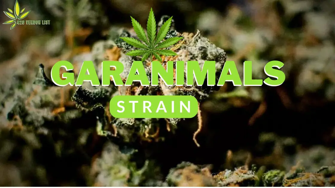 Garanimals Strain Review