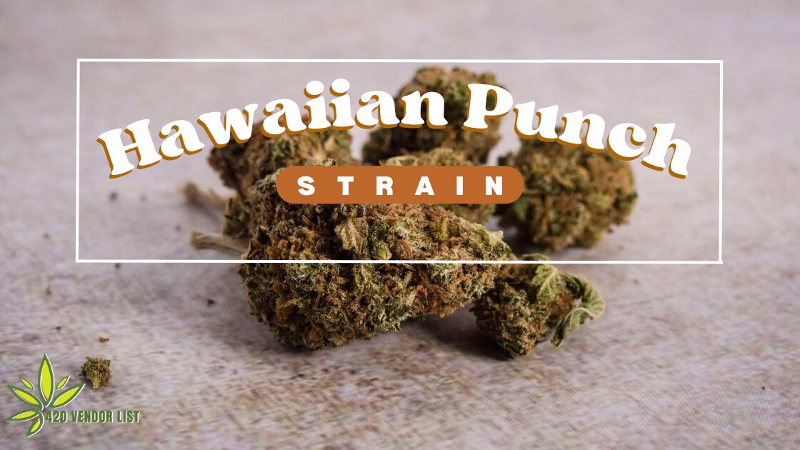 Read This Before You Try The Hawaiian Punch Strain