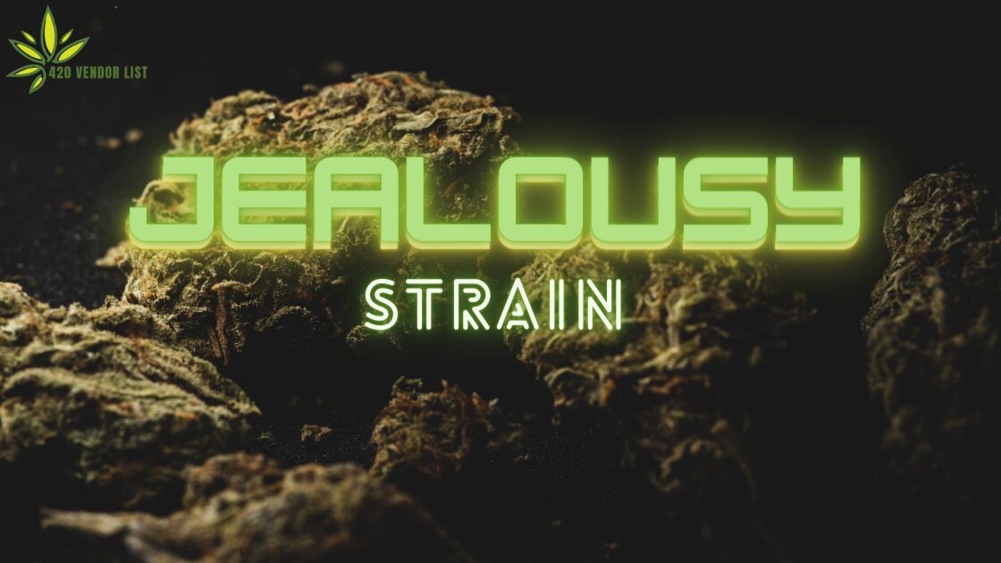 Jealousy Strain: A Coveted Cannabis Experience Worth Desiring