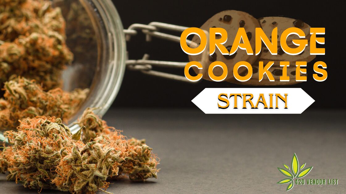 Orange Cookies Strain