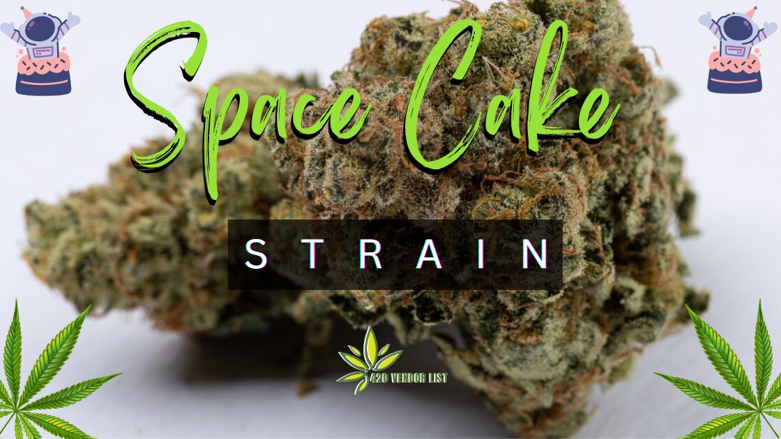 Space Cake Strain Review: Vanilla Sedation